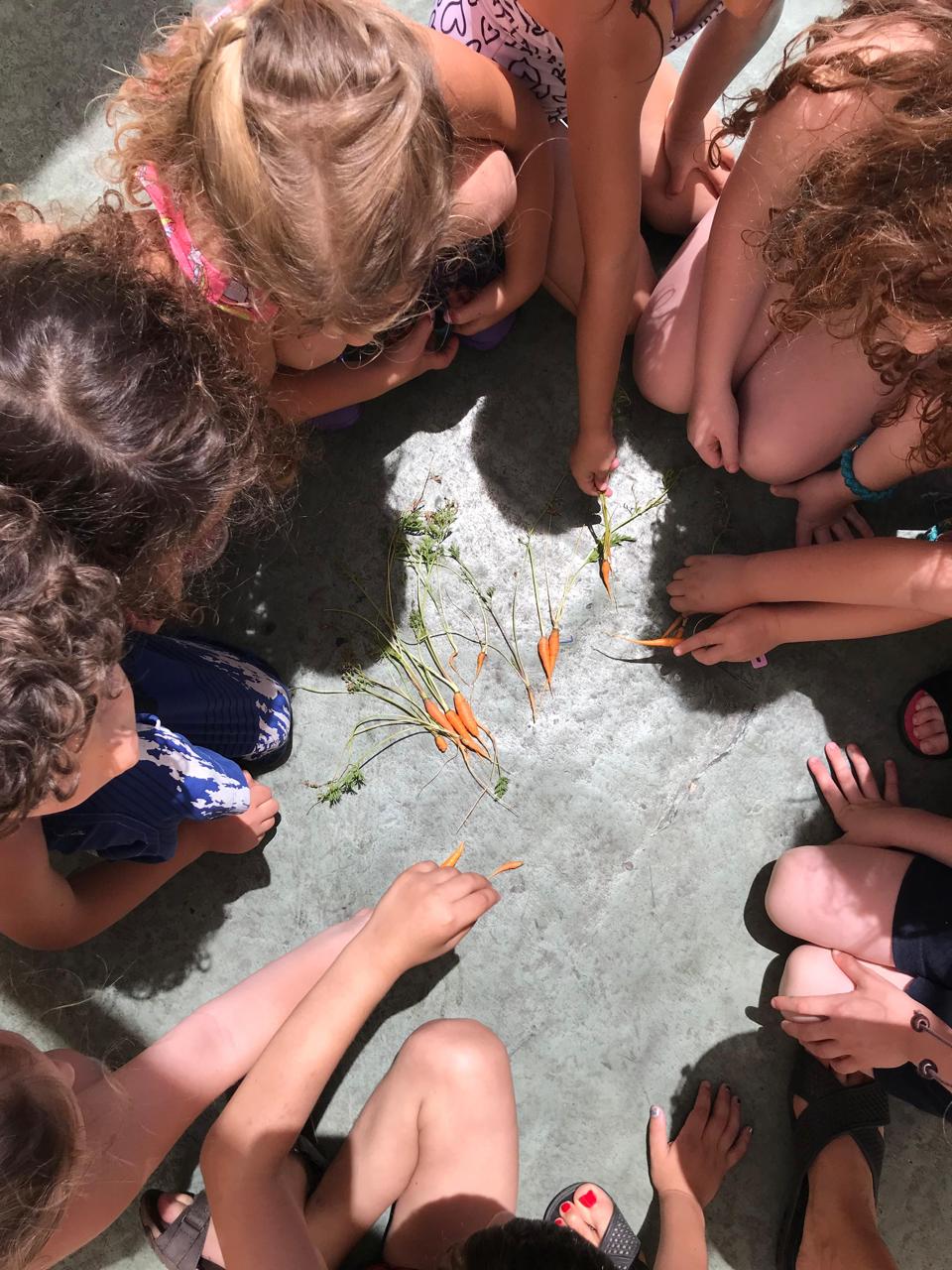 Proyectos de identidad